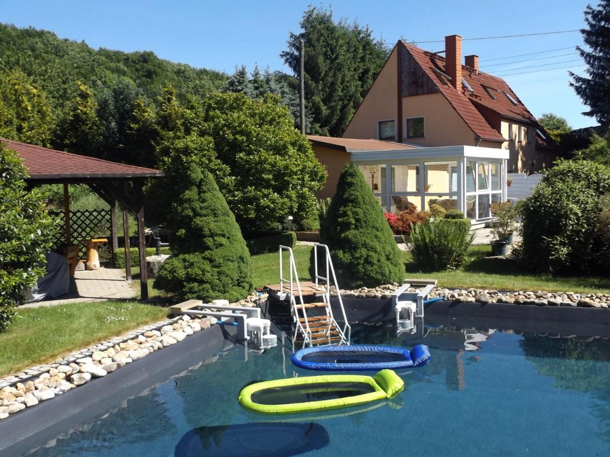 Cosy Apartment With In Pirna With Private Terrace Номер фото