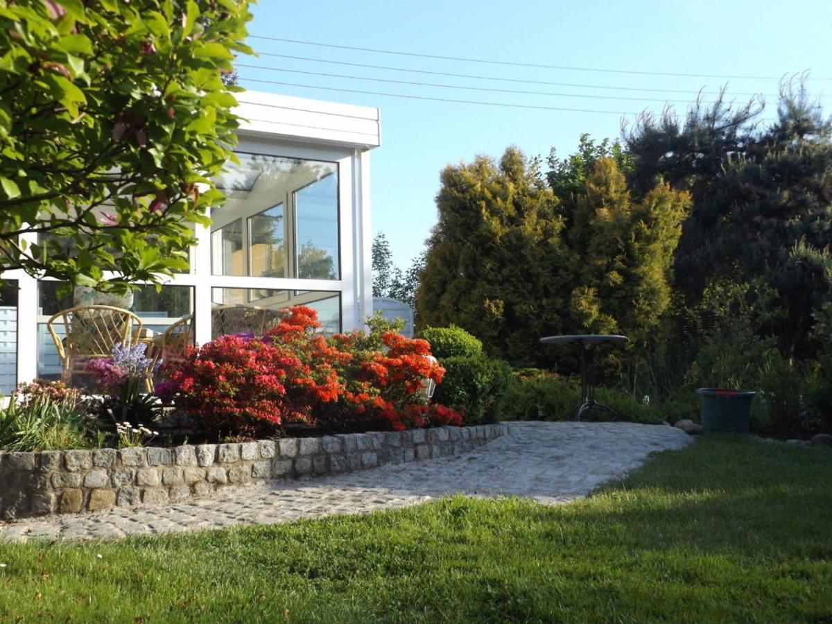 Cosy Apartment With In Pirna With Private Terrace Номер фото