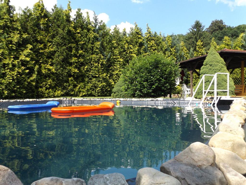 Cosy Apartment With In Pirna With Private Terrace Экстерьер фото
