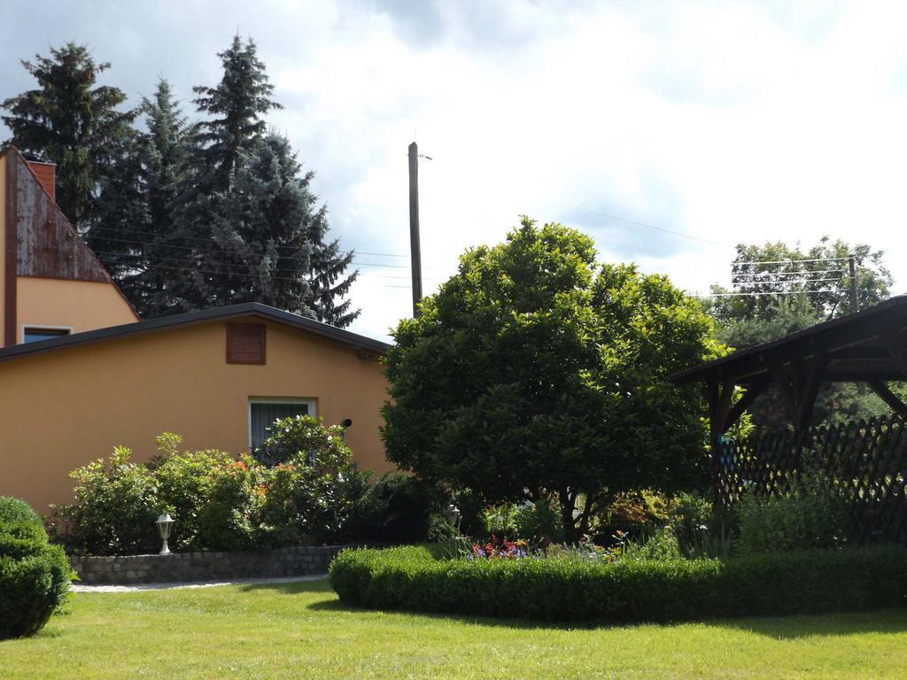 Cosy Apartment With In Pirna With Private Terrace Экстерьер фото